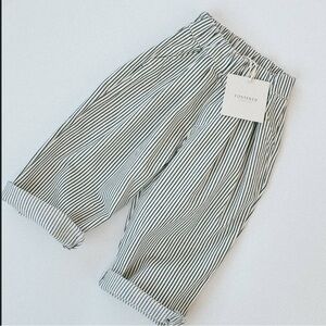 Fostered collection rail road pants